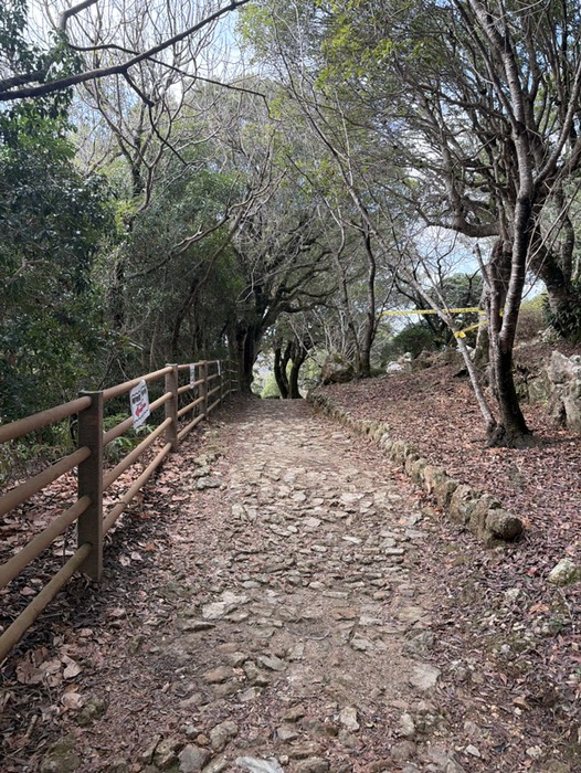 今夜の夜景撮影場所の下見