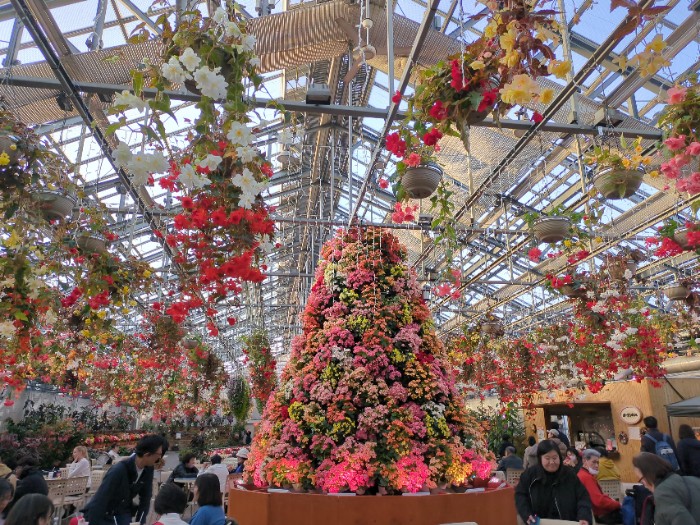 ベゴニアガーデン