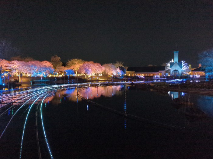 なばなの里 ライトアップ