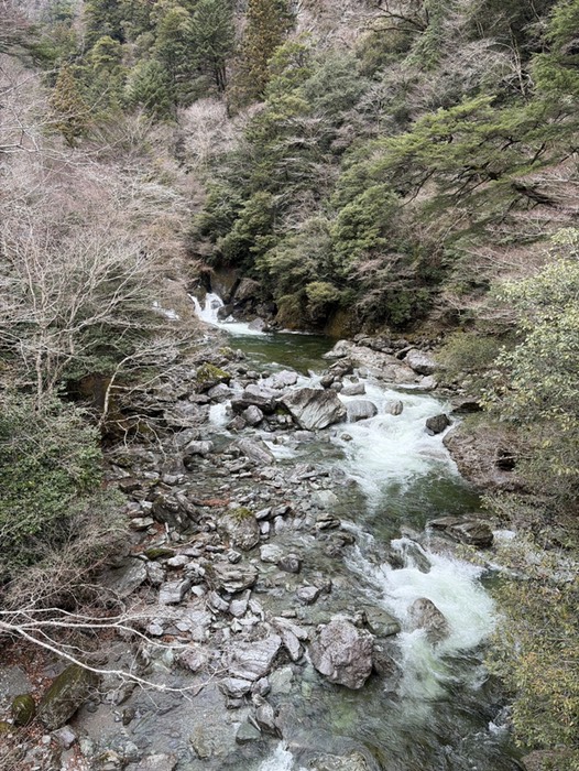 いい感じ明日が楽しみ