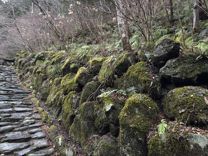 ジブリの世界観