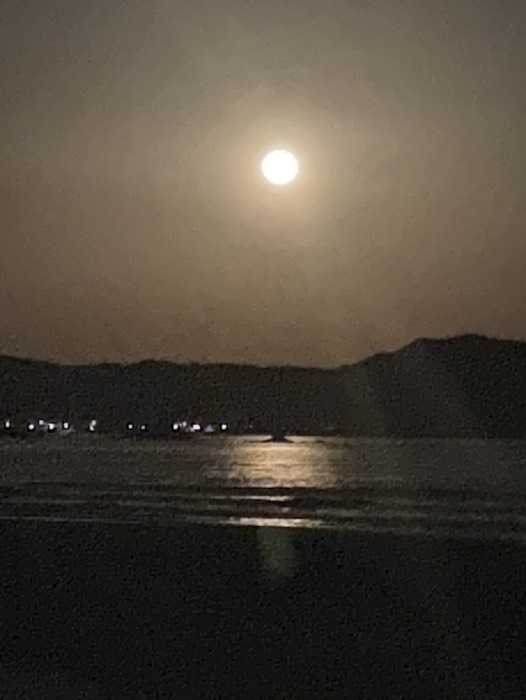 お楽しみにーー