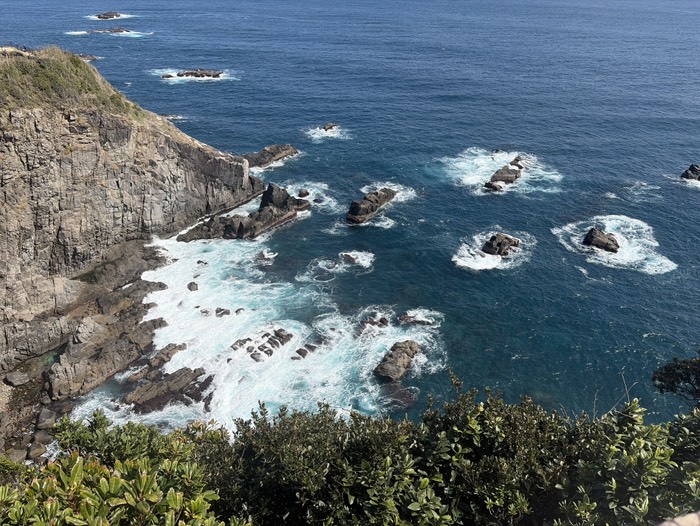 綺麗な青色 見とれちゃう