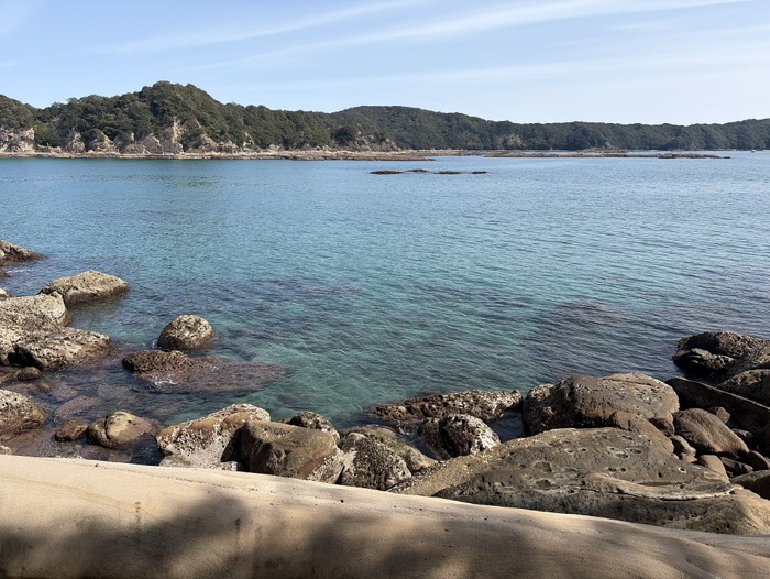 この色は綺麗だな