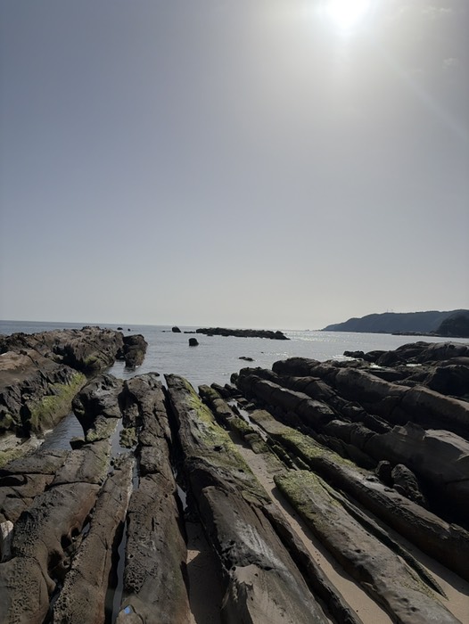 これはいい感じだな