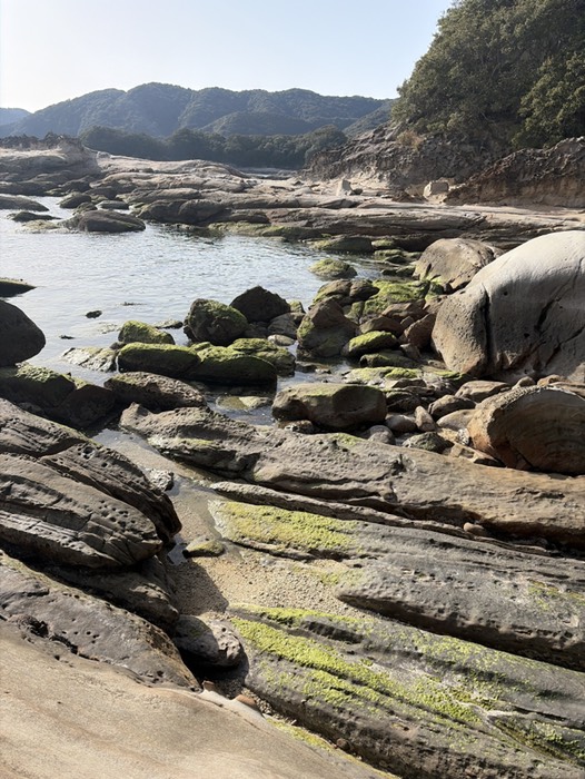 この苔が付いてるのはいい感じ