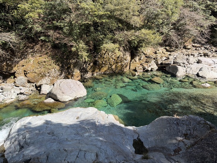これはまた綺麗な青