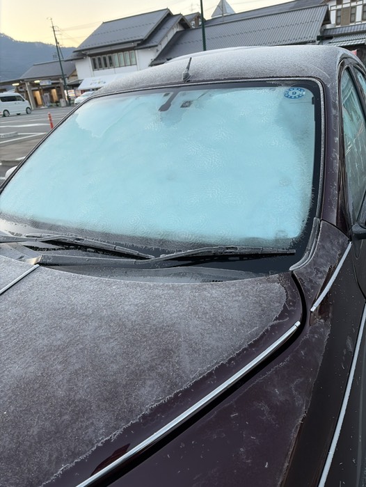 朝起きたら凍ってた、、、