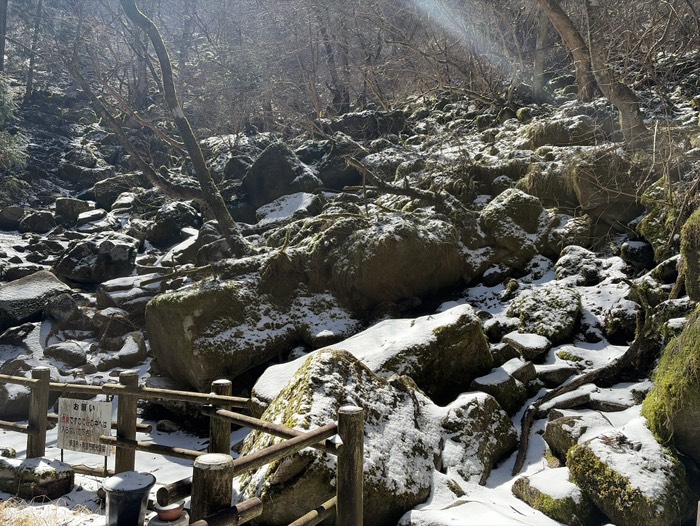 苔の石に雪は最高すぎん？笑