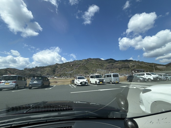 この山全部みかん作ってるやばくない？笑