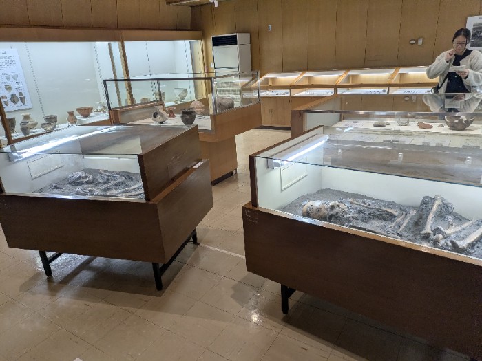 史跡貝殻山貝塚交流館