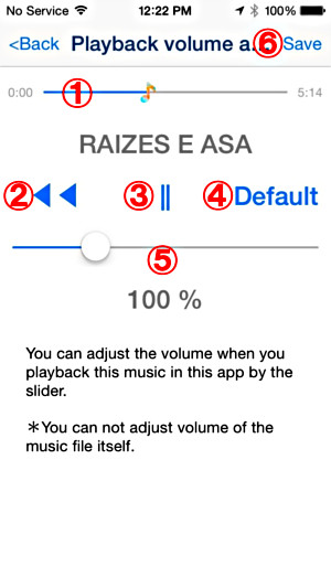 Playback Volume Adjustment Screen